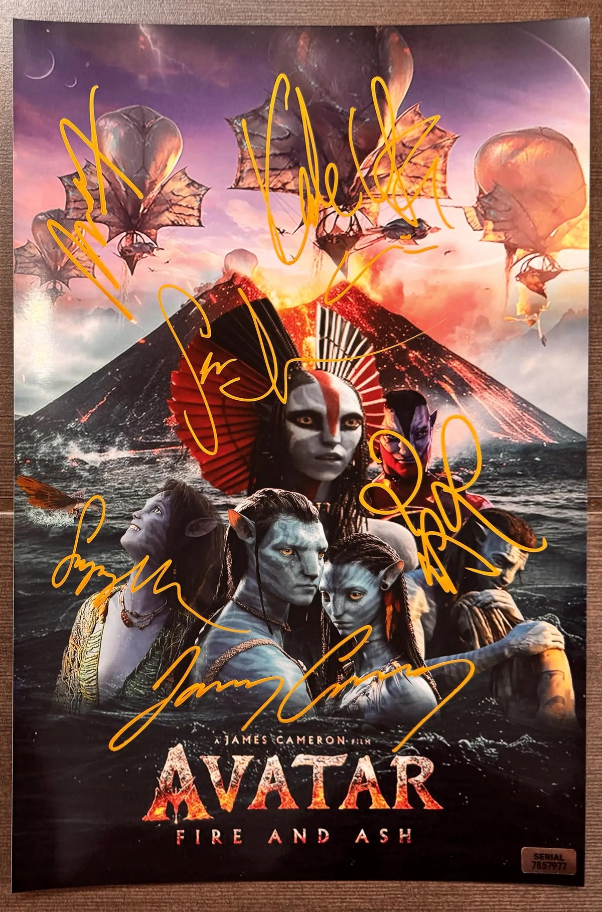 A cast signed and authenticated poster of James Cameron's film 'Avatar: Fire and Ash', autographed photo of Sam Worthington, Zoe Saldana, Kate Winslet, Sigourney Weaver, James Cameron and Stephen Lang in gold ink markers signatures. Photograph autographs for sale on 8x12 inch picture.