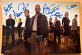 A cast autographed photo poster from the AMC television series, Breaking Bad. Signed photo of Bryan Cranston, Aaron Paul, Bob Odenkirk, Anna Gunn, Dean Norris, Betsy Brandt, Jonathan Banks and RJ Mitte in blue ink marker signatures. Photograph autographs for sale on 8x12 inch picture.