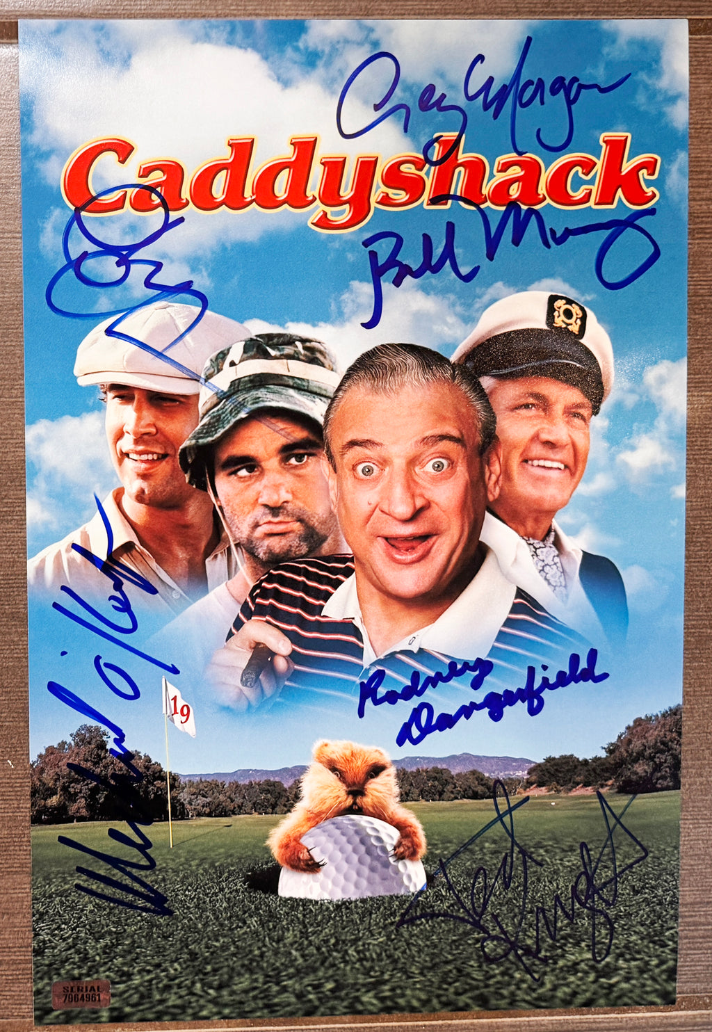 A cast autographed photo poster from the movie, Caddyshack. Signed photo of Bill Murray, Chevy Chase, Ted Knight, Rodney Dangerfield, Michael O'Keefe and Cindy Morgan in blue ink marker signatures. Photograph autographs for sale on an 8x12 inch picture.