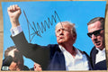 An autographed 8x12 photograph of Donald Trump raising his fist during his attempted assassination on July 13, 2024 in  Butler, Pennsylvania. Signed photo in black ink markers signature. Poster autographs for sale on 8x12 inch picture.