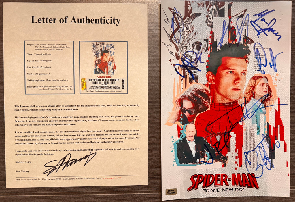 A signed Spider-Man Brand New Day movie poster. Spider Man Autographed photo by Tom Holland, Zendaya, Jon Bernthal, Mark Ruffalo, Jacob Batalon, Sadie Sink, Michael Mando and Marvin Jones III in blue ink. Photograph autographs for sale. 8x12 inch picture with COA.