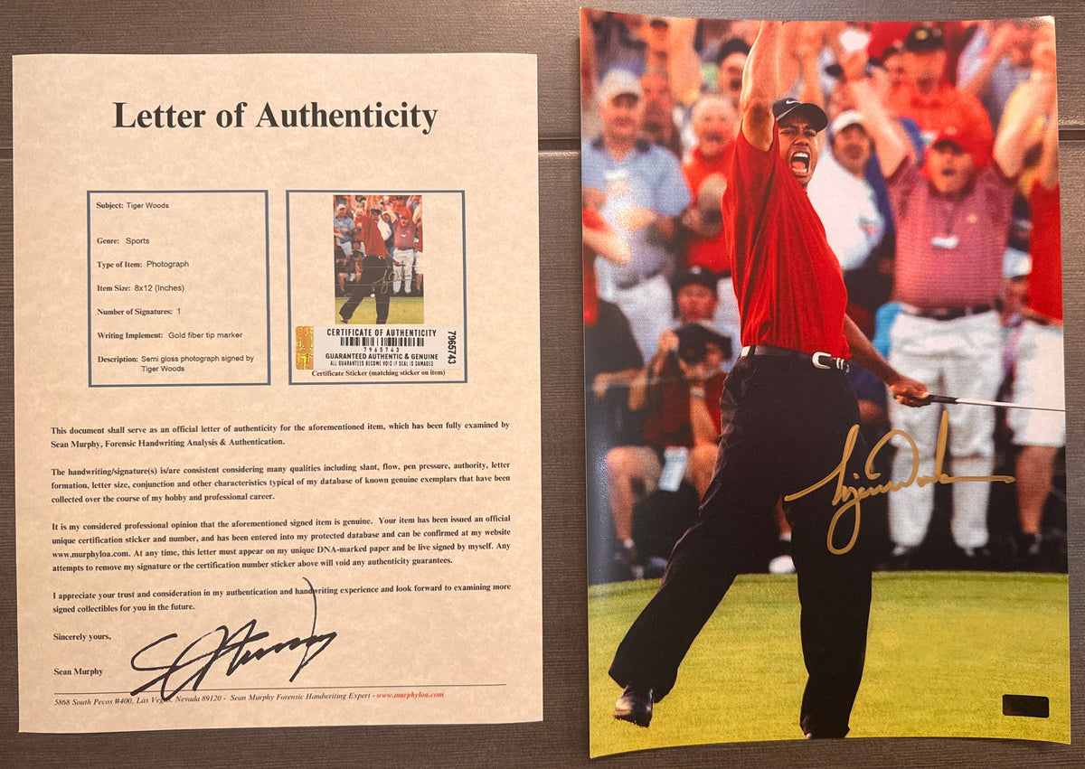 An autographed photo poster of PGA golfer, Tiger Woods. Signed photo in gold rookie auto 2001 ink signatures. Photograph UDA Tiger Woods autographs for sale on 8x12 inch picture with COA.
